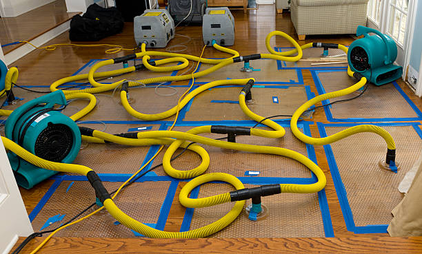 Professional Water Damage Restoration technician working in Lind, WA